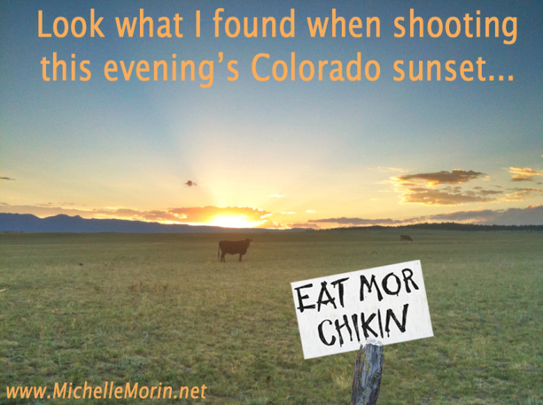 Colorado Loves ChickFilA