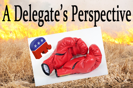 grassfire-delegate