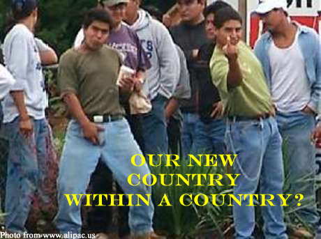 illegal_immigrants COUNTRY WITHIN COUNTRY 2